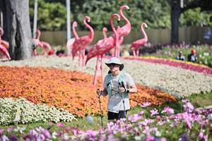 BIB: 
                            <button type="button" onclick="openModal(27793547)" class="btn btn-primary btn-sm float-right btn-popup" data-toggle="modal" data-target=".modal-high-quality">
                        <i class="fas fa-shopping-cart"></i> Add to Cart
                    </button>
                                            <button type="button" onclick="isThisMe(27793547, true)" class="btn btn-success btn-sm float-right btn-popup btn-isme hidden" data-toggle="tooltip" data-placement="bottom" title="นี่คือรูปของคุณใช่ไหม คลิกที่นี่เพื่อเอาเข้าอัลบั้ม">
                        <i class="fas fa-plus"></i> Add to album
                    </button>
                    <button type="button" onclick="isThisMe(27793547, false)" class="btn btn-warning btn-sm float-right btn-popup btn-isnotme hidden">
                        <i class="fas fa-ban"></i> Remove from album
                    </button>